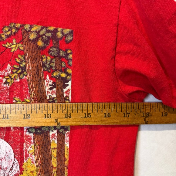 Vintage Great Smoky Mountains Graphic Tee Santa Cruz USA M - Picture 6 of 7